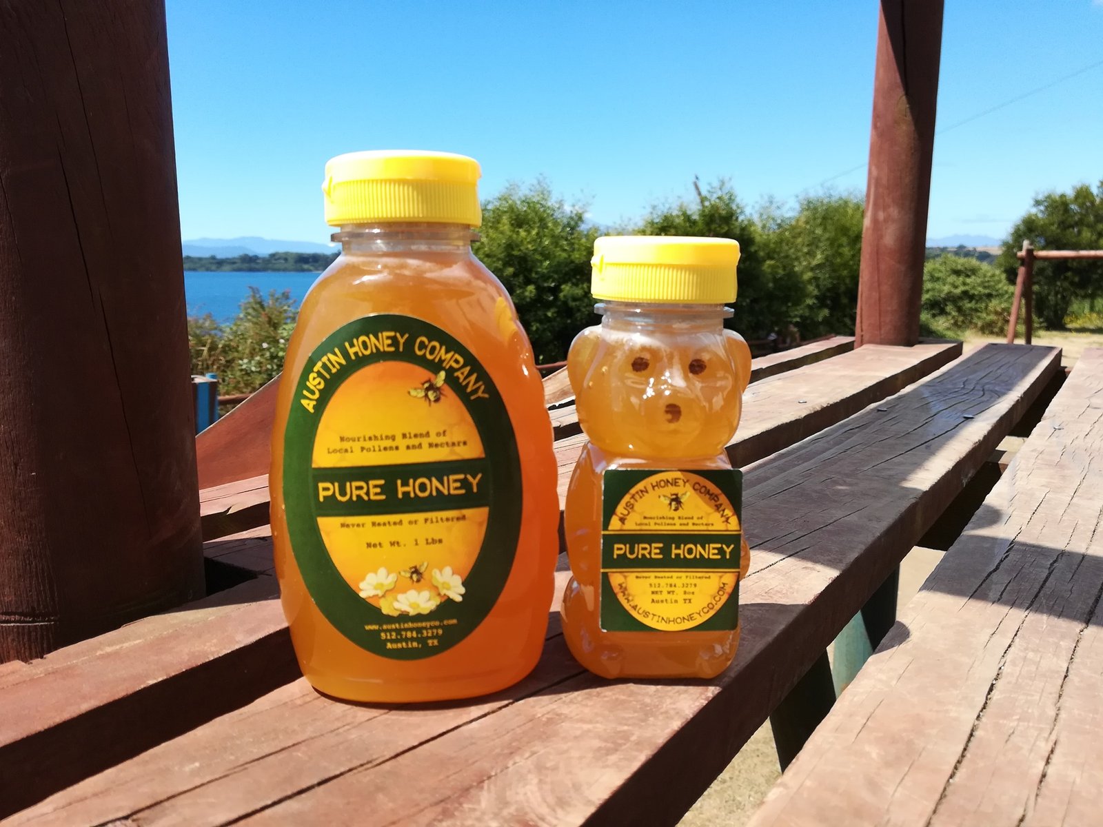 Pure Austin Honey in iconic bear squeeze bottles