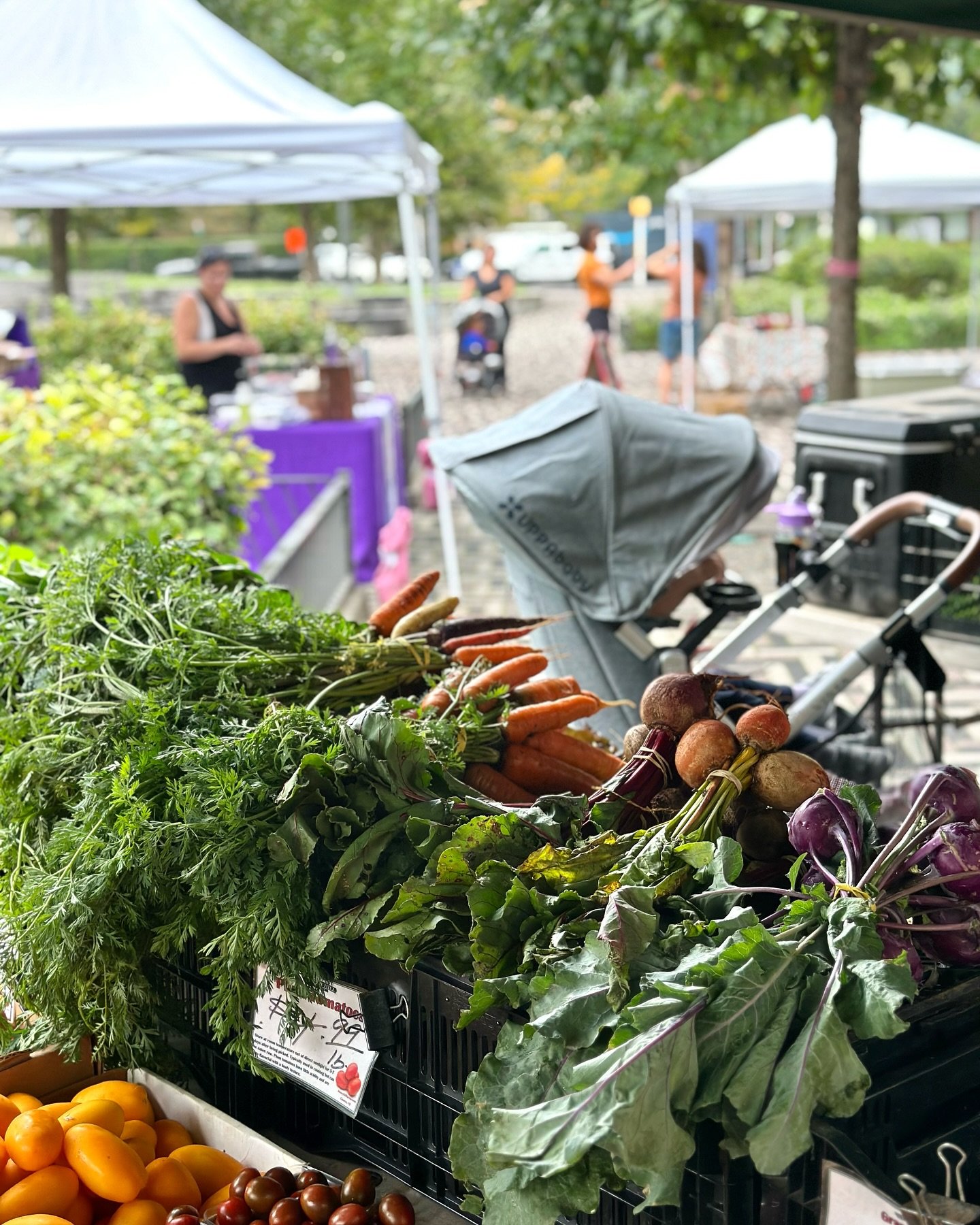 Farm-to-bag: Every color and crunch packed up for you.