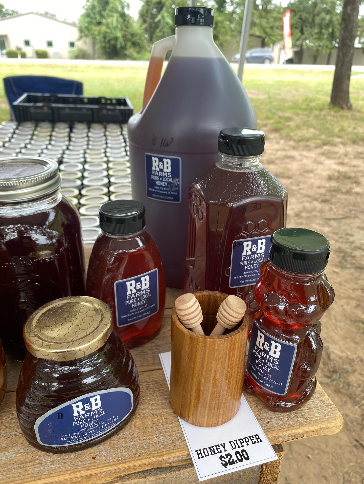 Rows of Local Honey and Beeswax Products
