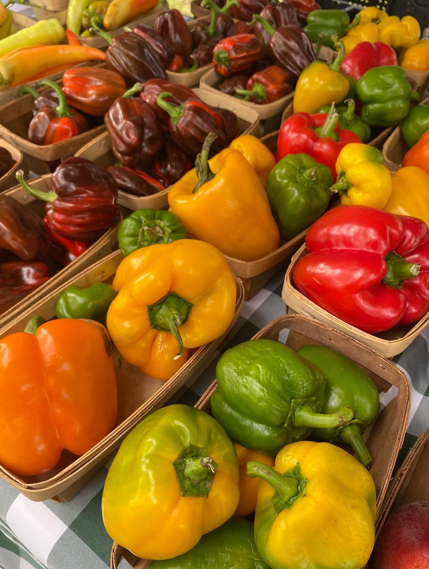 Homegrown Colorful Peppers