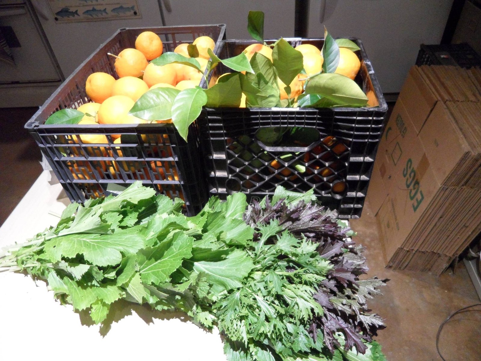 Spread of Fresh Citrus and Greens