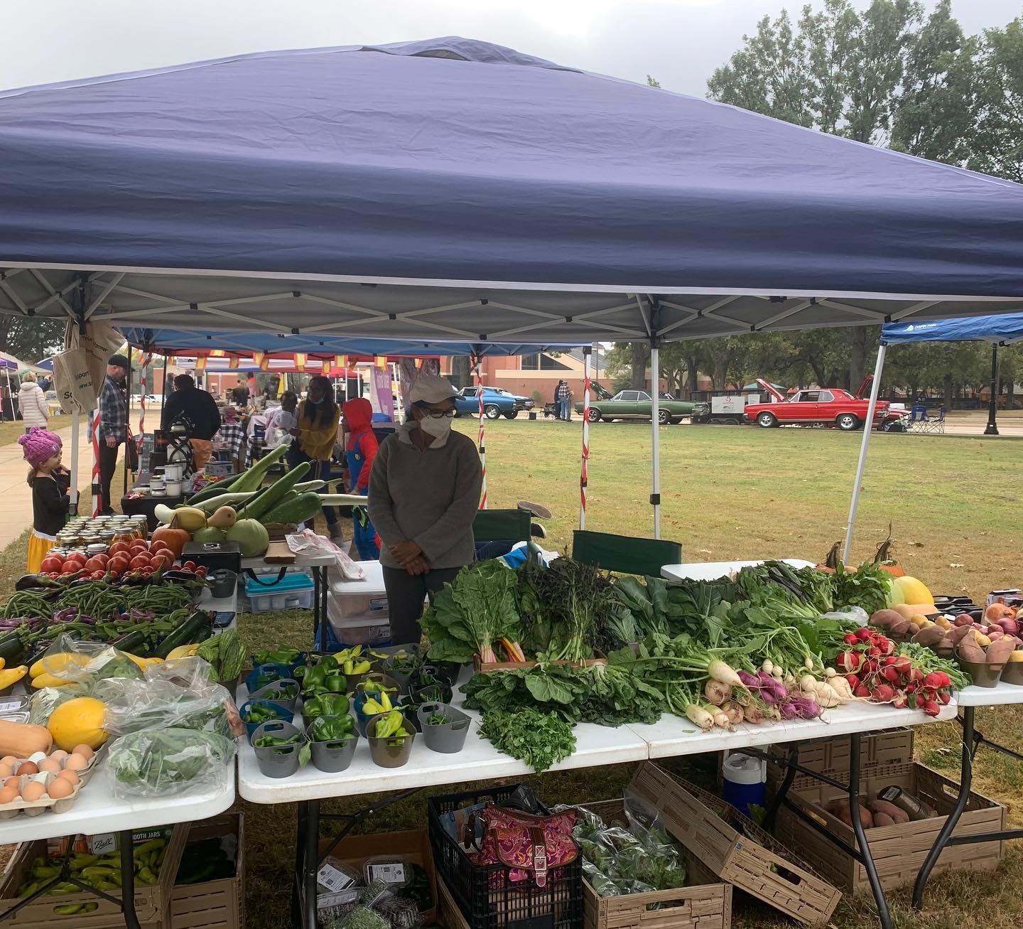 A rainbow of Sapling Farms' stunning produce at the vendor table